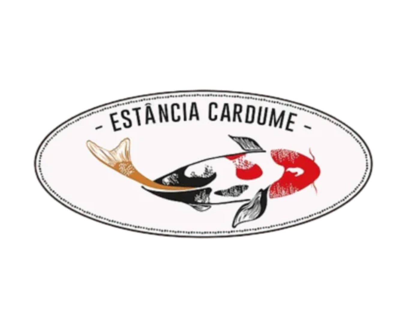 elevare clientess (47)