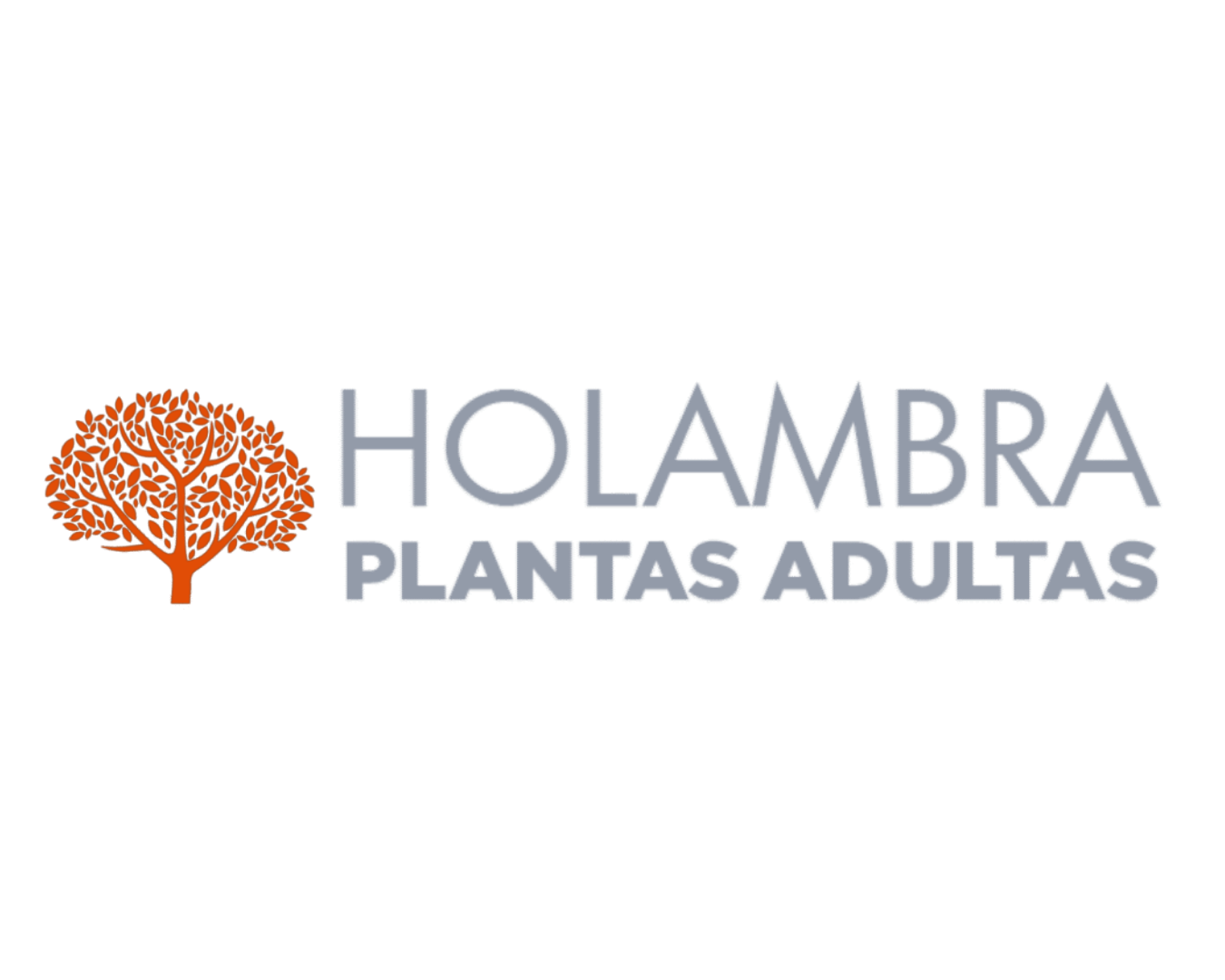 elevare clientess (48)